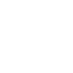 ce logo Toulouse