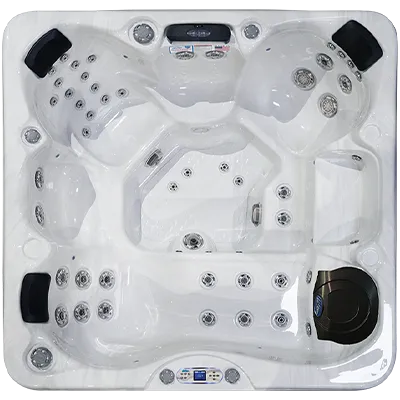 Avalon EC-849L hot tubs for sale in Toulouse